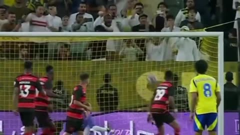 Cristiano Ronaldo fan