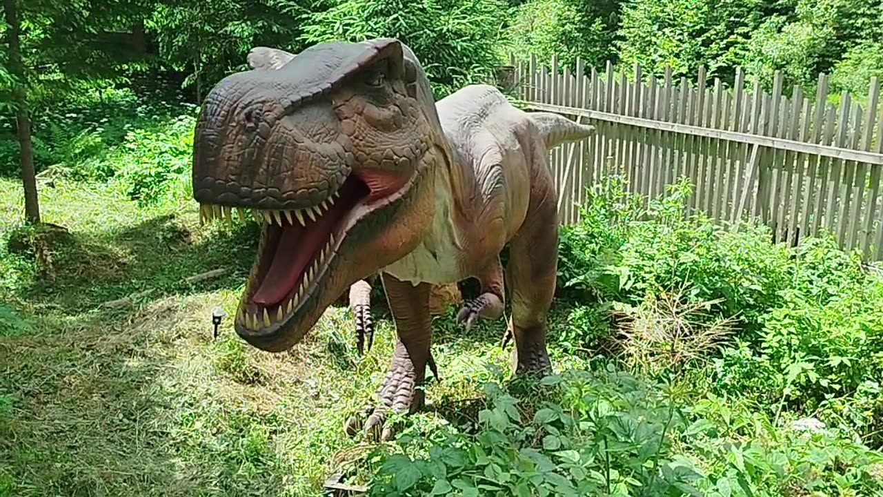 DINO PARK - Polyanytsya village (Bukovel)