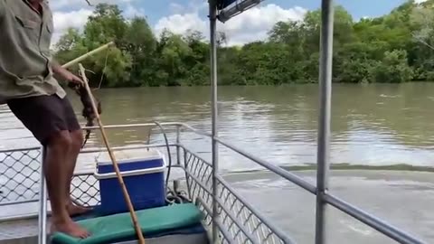 incredible moments captured on camera