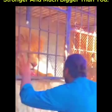 This one thinks he's playing with a kitten 😂