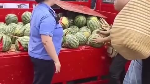 Vendor Smashes Watermelons in Defiance as City Officers Ban Stall and Threaten to Seize His Goods