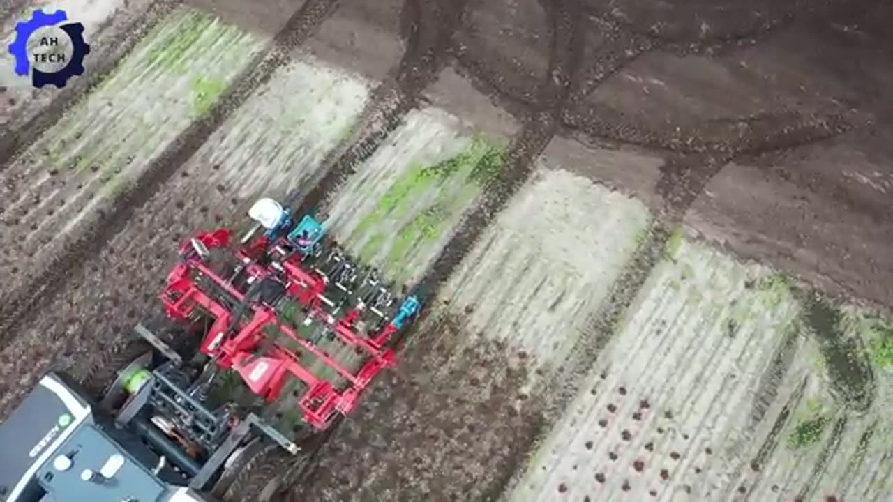 How Farmers Harvest & Process Millions of Tons of Fresh Produce This Way | Agriculture Technology