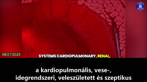 【HU】A COVID-19 vakcinák katasztrofális, generációkon átívelő károkat okoznak