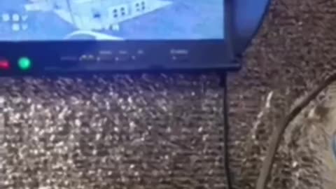 🤔❗️The Russians intercepted the video signal of the Ukrainian drone that burned down