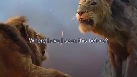Lion katrun