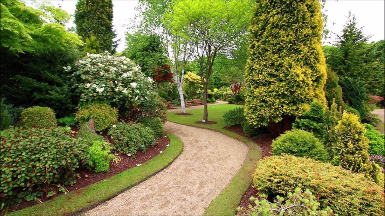 Yard Scaping Services