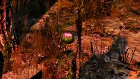 Peyote Plants Location In GTA V 04/27