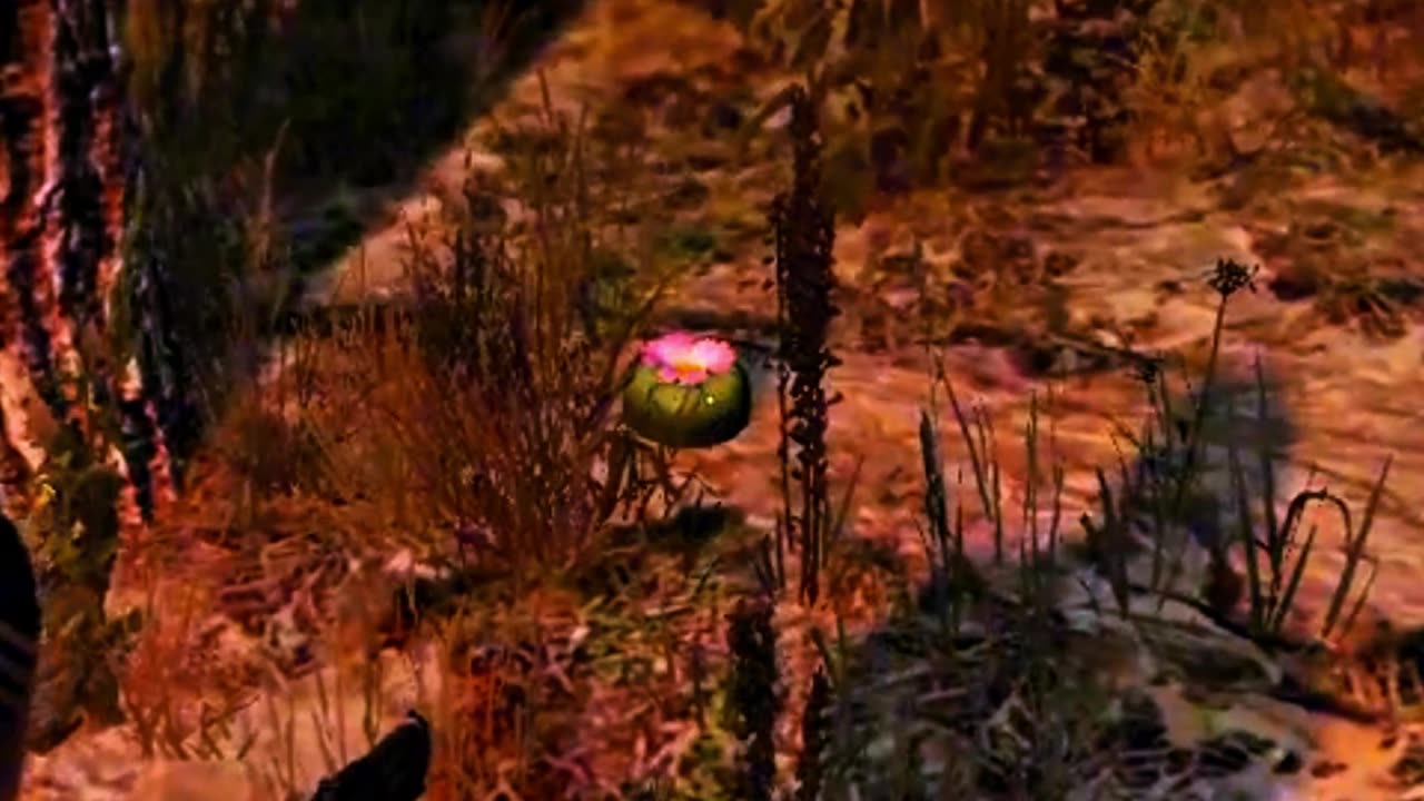 Peyote Plants Location In GTA V 04/27