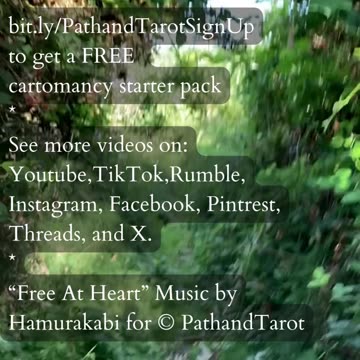 Arise Renewed | Path and Tarot Reading