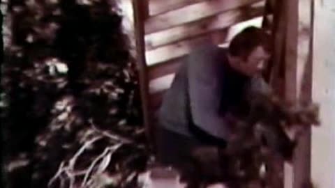 Commercial - Old Gold Cigarettes (Old Gold filters man jingle) 1970