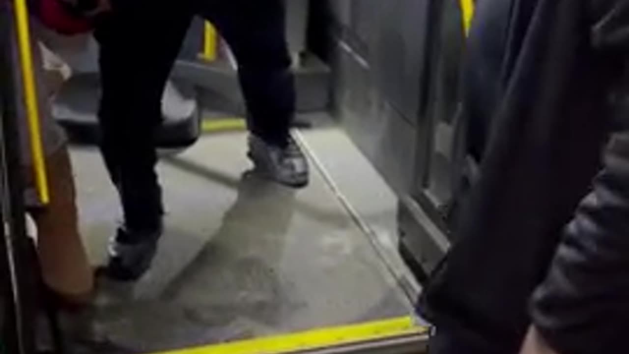 Detroit Bus Driver Gets Into Scuffle With Female Passenger