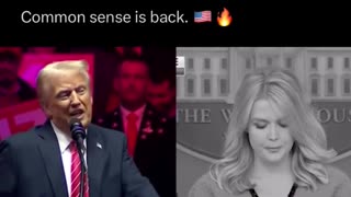 Politics - 2025 President Trump Stops Liberal Globalist Commie Woke Gender Race DEI Insanity