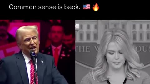Politics - 2025 President Trump Stops Liberal Globalist Commie Woke Gender Race DEI Insanity