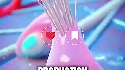 One Year Vitamin C "Miracle"... Take a Whole Food Source!