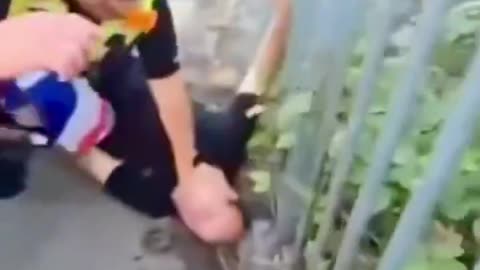 Sussex Police violently arrest a local during a protest outside a migrant hotel in Chichester