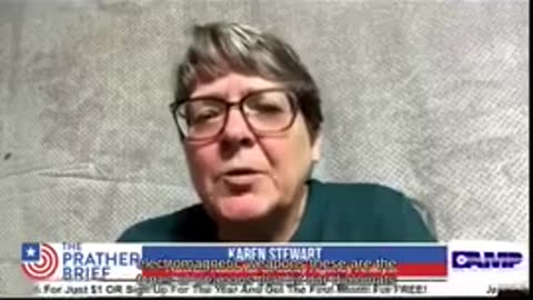 Karen Stewart - whiste-blower in NSA speaking of targeted individuals