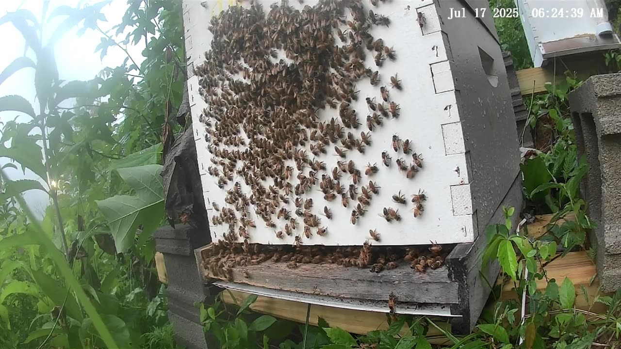 Thursday Morning Sunrise