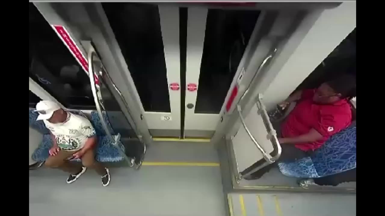 The Iryna Zarutska Train Stabbing Hoax