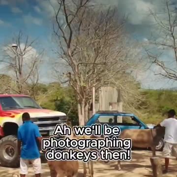 This is actually a Columbian tradition for young boys. Donkeyfuckers never made any nation better