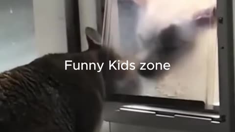 🐾😂 You Won't Believe These Hilarious Funny Animals! part-3