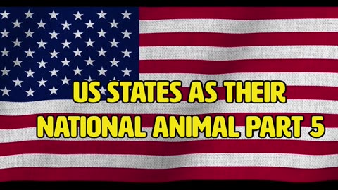 US STATES AS THEIR NATIONAL ANIMAL PART 5