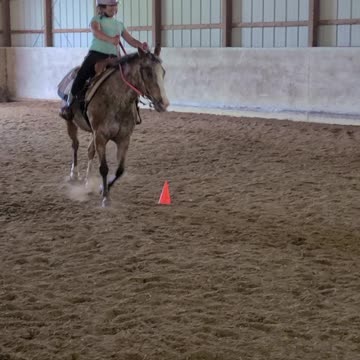 Getting Diva used to doing polebending pattern!