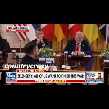 looks like he's a lost puppy