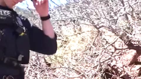 Hardest Hide-And-Seek Challenge 😨