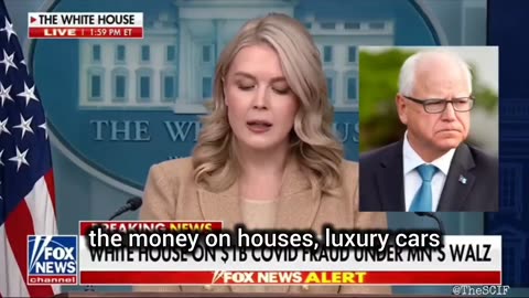 Minnesota Migration Controversy: Fact, Fear, and Political Allegations | THE INTEL SCIF