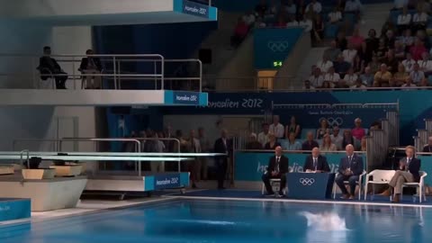 Which Animal Wins the Gold Medal? | Animal Olympics