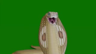 Golden Snake