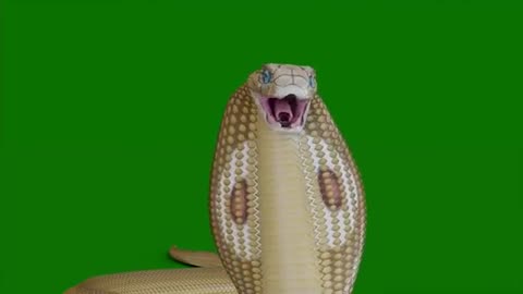 Golden Snake
