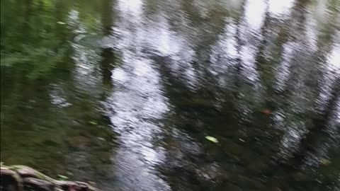 Crayfishing with Kaido in the Saddle River