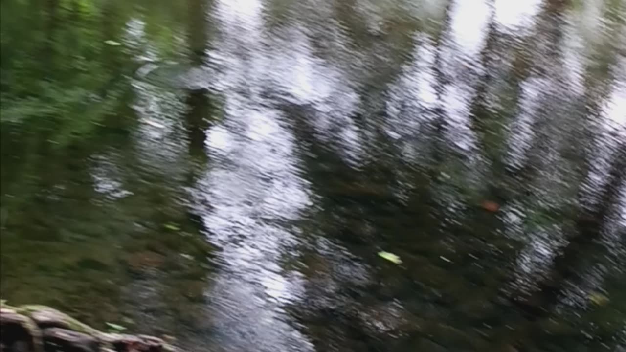 Crayfishing with Kaido in the Saddle River