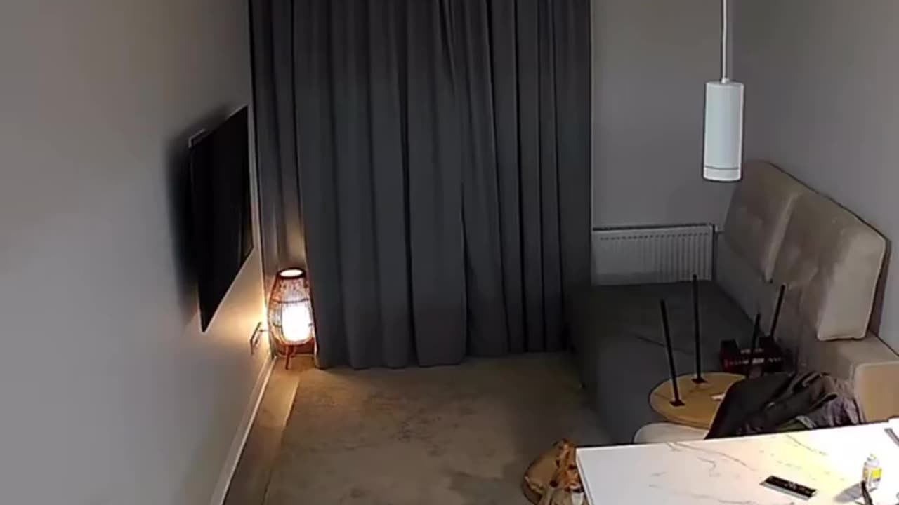 14 seconds before the explosion, the dog sensed it coming — and 3 seconds before, it went to hide