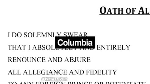 Remigration is the moderate solution...