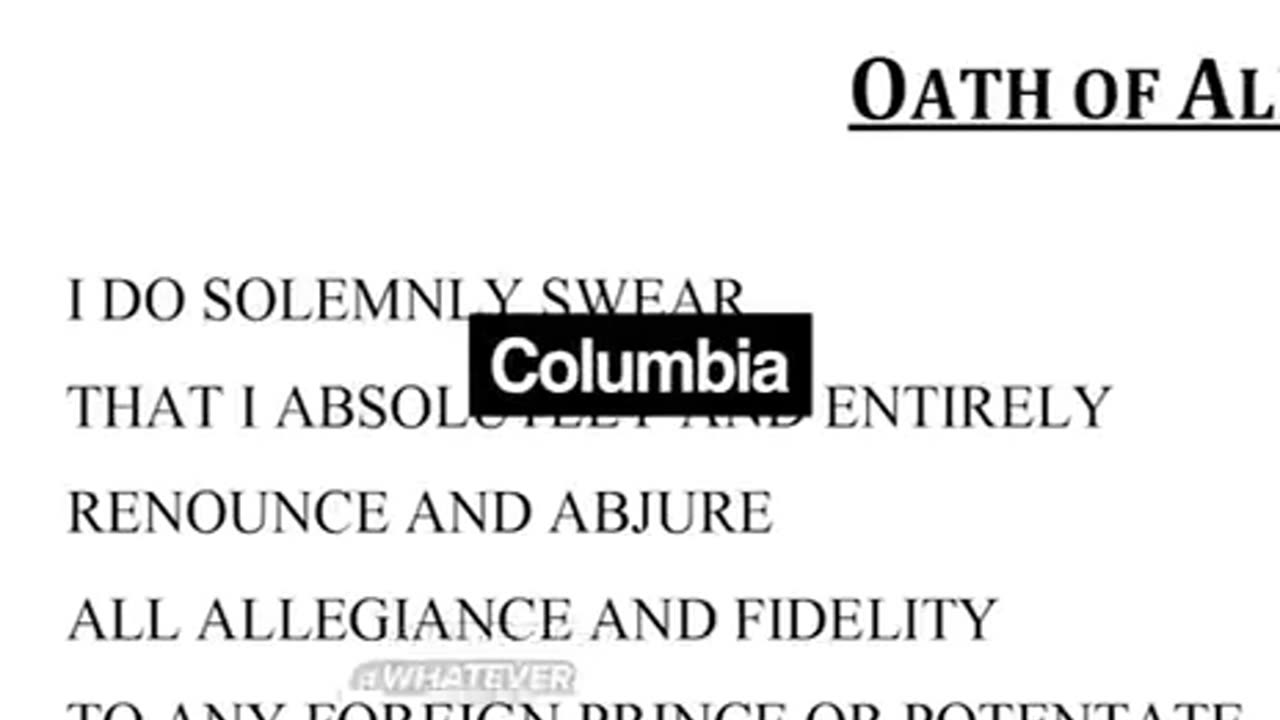 Remigration is the moderate solution...