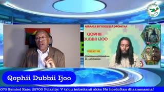 Qophii Dubbii Ijoo ONM-ABO Sadaasa 17-2025 itti dhiyaadhaa!