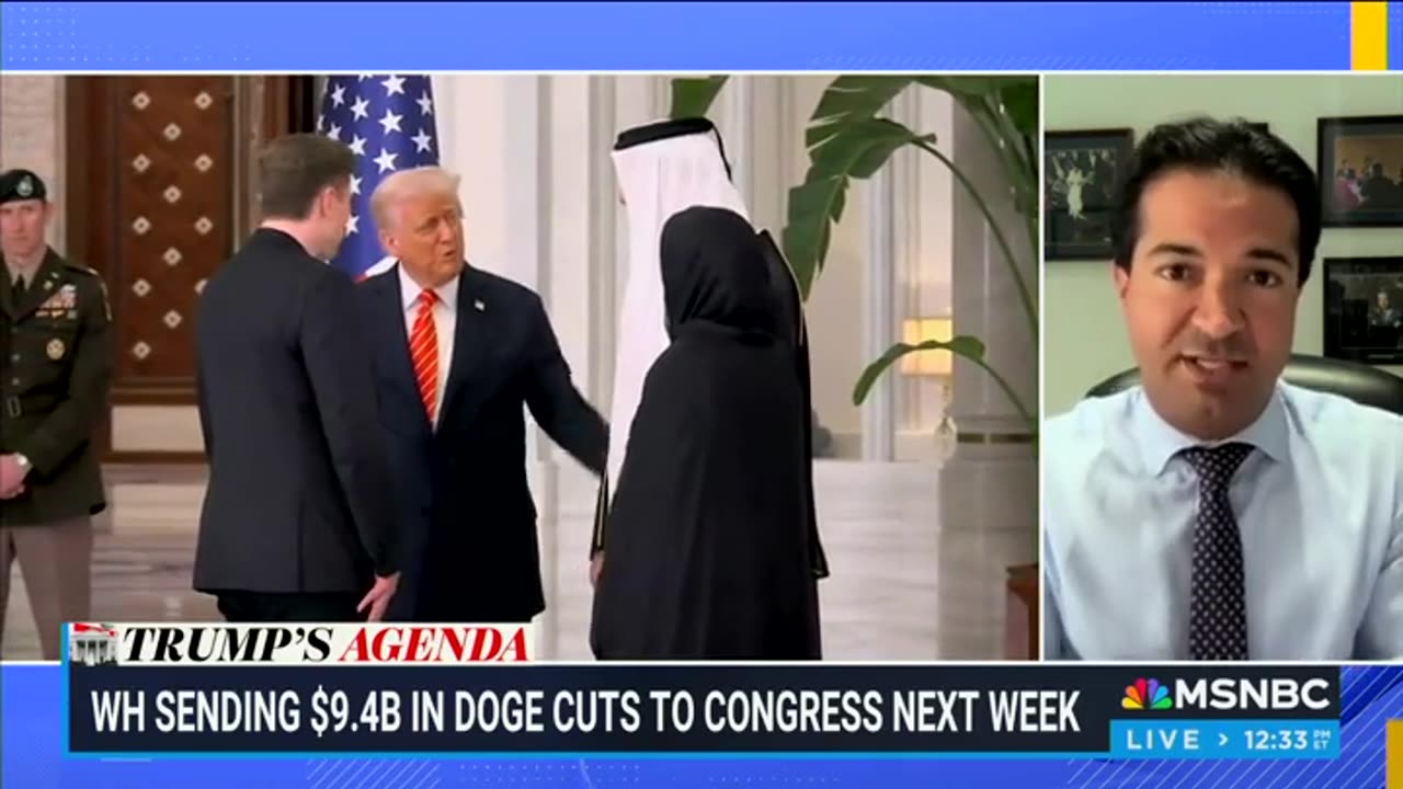 MSNBC Guest Admits Elon Musk 'Made A Difference' With DOGE