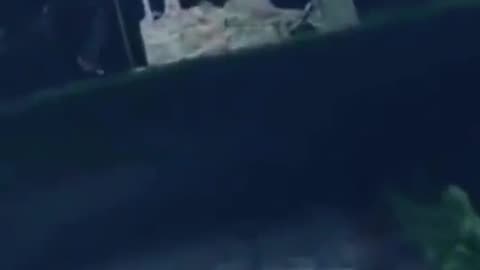 😲📹 Is This Video Worth 1 Million Views? | TheHauntingHour