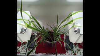 Regarding the Children, again I Speak O LORD!!!