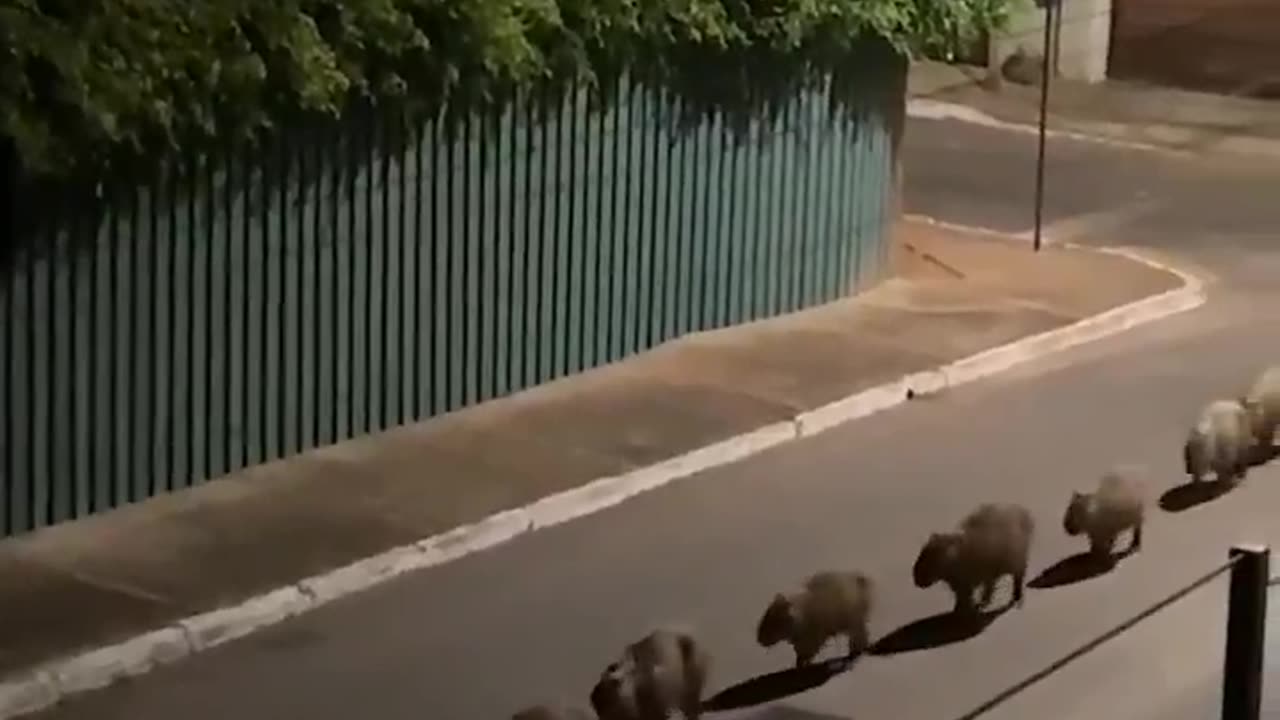 What’s going on here? 🤔