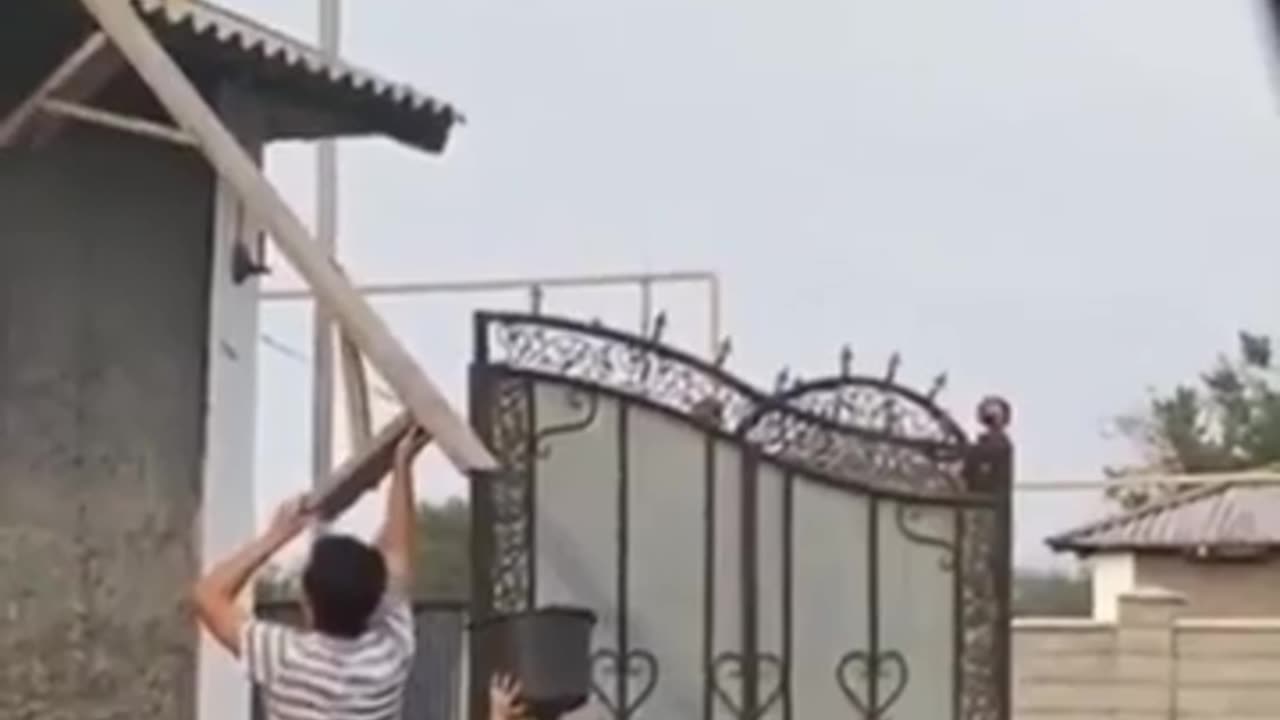 🤯👥 When Teamwork Goes Wrong! Trabalho em Equipe Fails | FunFM