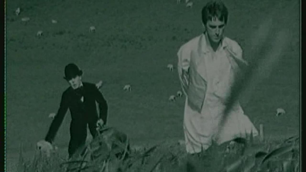 Style Council - Boy Who Cried Wolf