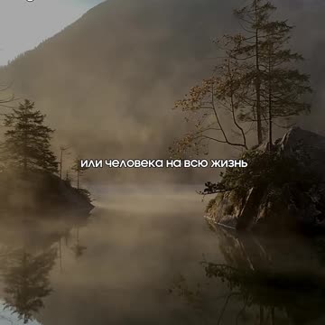 Когда ты полностью доверяешь человеку @tompitai ​