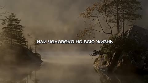 Когда ты полностью доверяешь человеку @tompitai ​