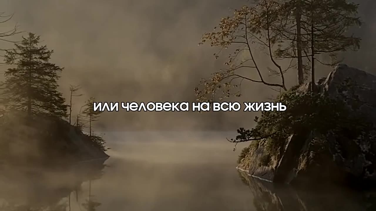 Когда ты полностью доверяешь человеку @tompitai ​