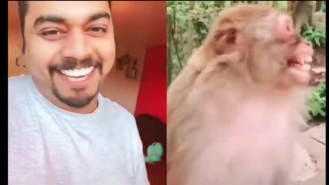 Paking gift 🧧 dog's comedy Videos 🤣 so cute 🥺 funny videos 🤣