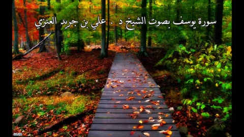 سورة يوسف - علي جريد