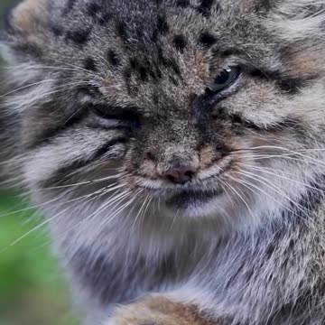 What I think of mondays 🤮